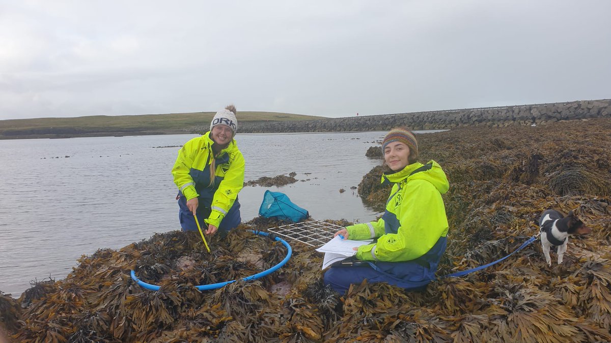 Ruby George tweet media