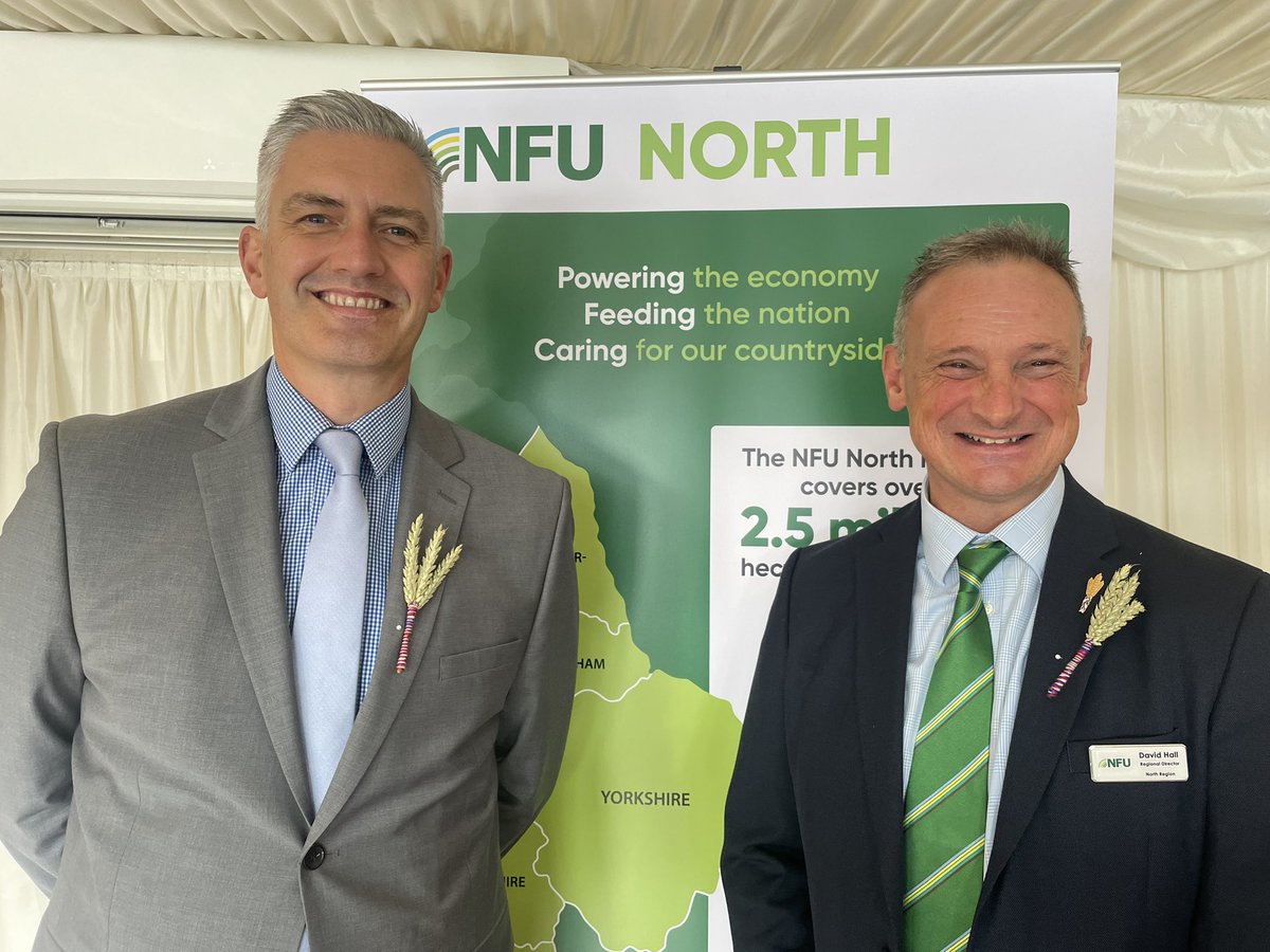 David Hall tweet media