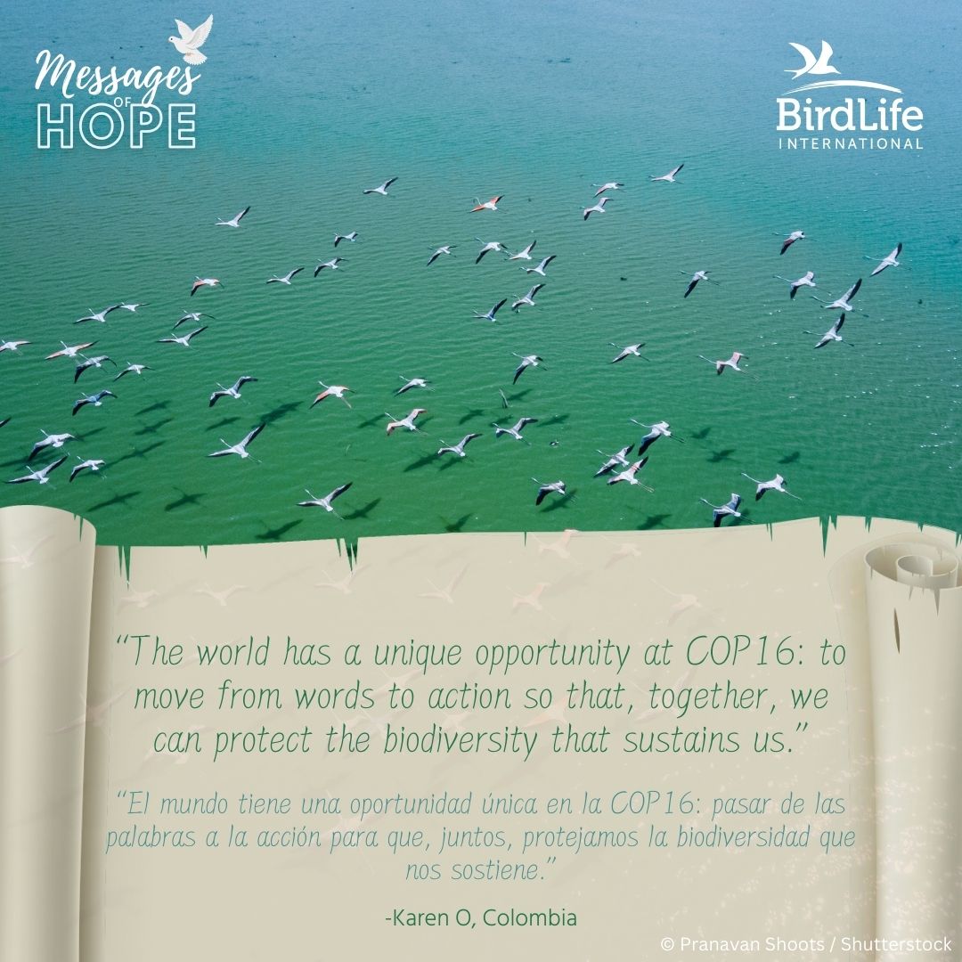 📣Calling all who are passionate about nature.

Let's show decision makers that we are united to protect all life on our planet. 💪

Send your message of hope to delegates attending the next United Nations Convention of Biological Diversity #COP16

These messages will be