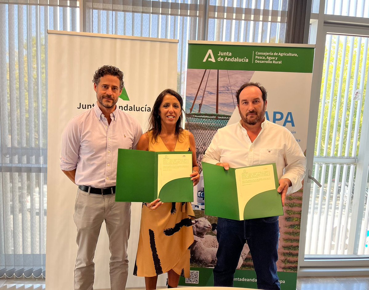 IfapaJunta's tweet photo. El #IFAPA y las asociaciones de #ganaderos en extensivo (#ANGGEX y #AAGGEX) acuerdan impulsar la #investigación y la #formación en el sector🐖🐐

Se potenciará la #innovación y la #transferencia para apoyar el relevo generacional👩‍🌾

📰Lee la #noticia en: https://t.co/7VDhrtYH7s https://t.co/SQIGRuhkGH