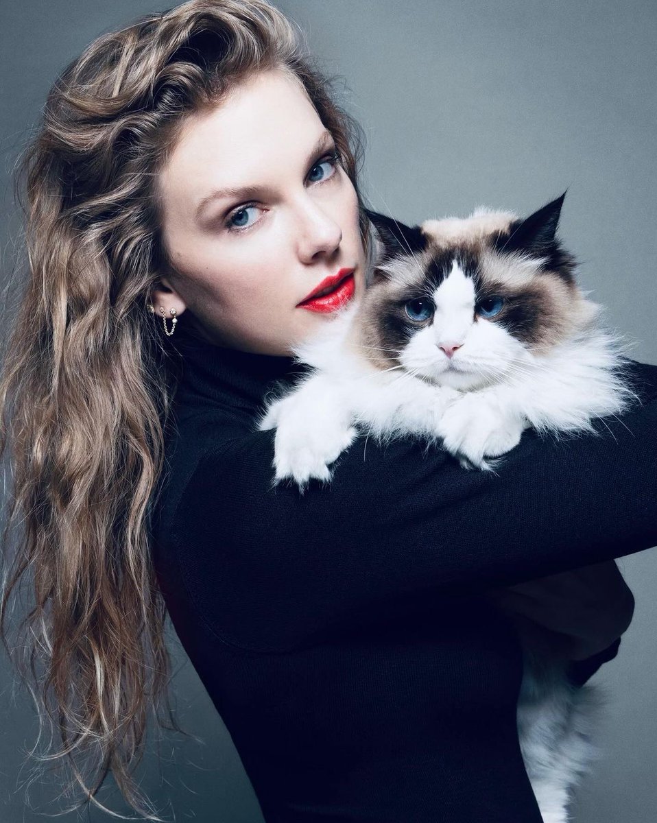 AnjaHoefer's tweet photo. Finally some catcontent i really like 🐱 #TaylorSwift #Debatenight #DebatePresidencial2024 #Kamala4President2024 @KamalaHarris https://t.co/HjM5vJTKSQ
