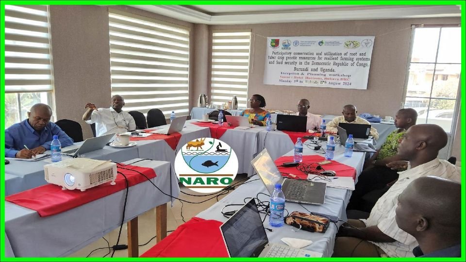 Inception workshop for the Benefit Sharing Fund project -PRM-FAO -145 - CONGO
Recently the Uganda National Genebank (UNGB) together with Partners in DRC and Burundi won a 4-year project from the Benefit Sharing Fund/FAO. The main focus of the project is Participatory conservation