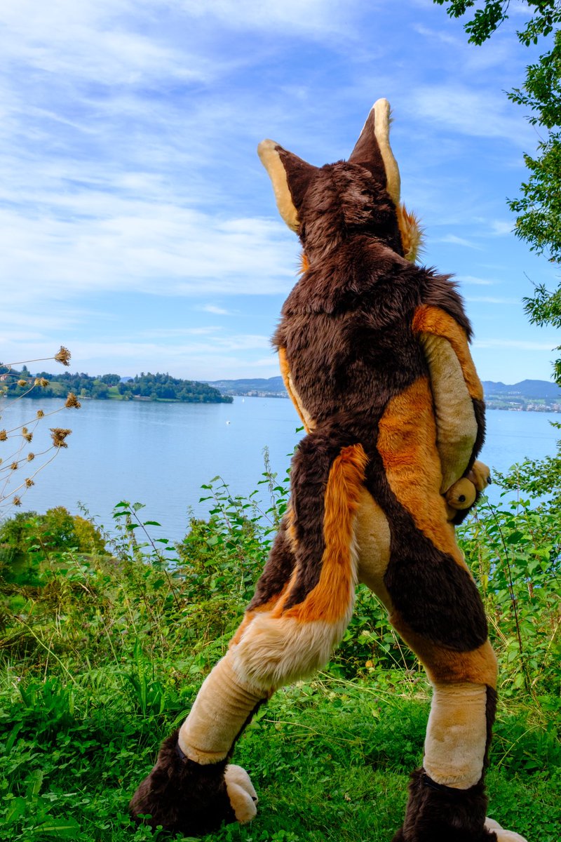 Once again we have dog 
<a href="/AcmeYot/">Acme</a>