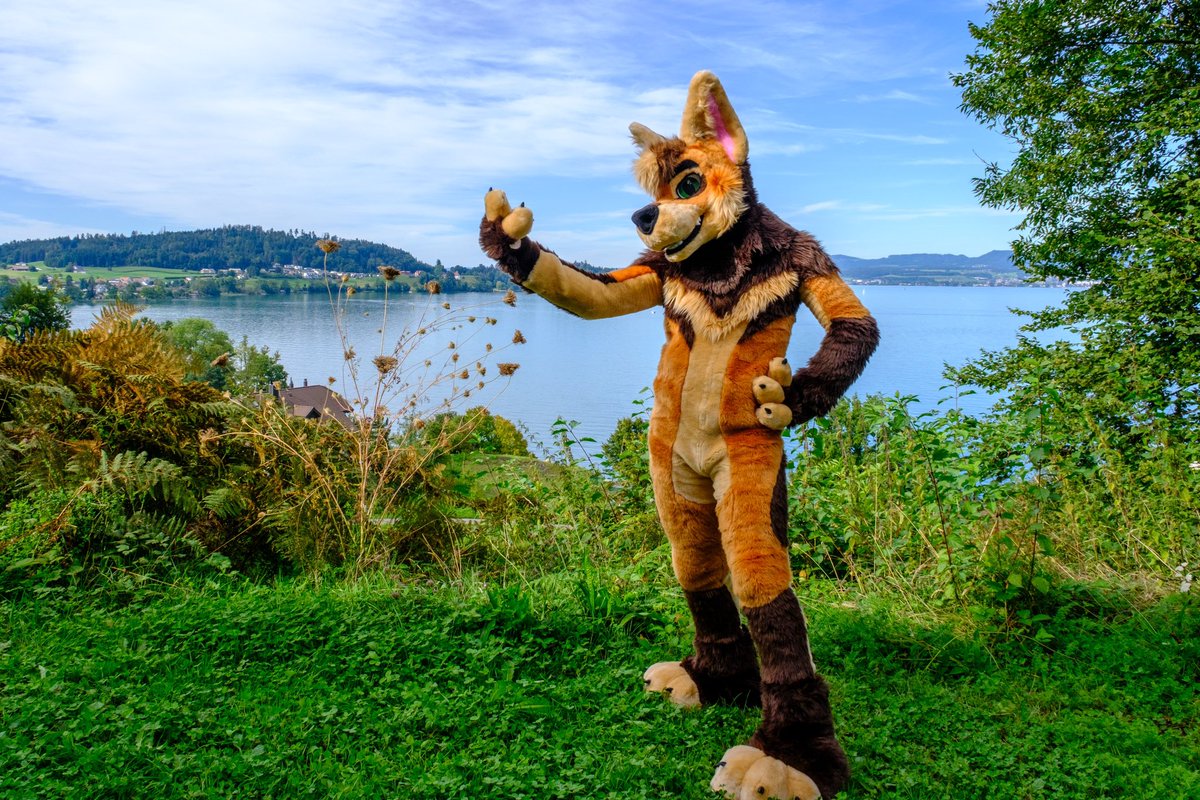 Rum Wolf tweet media