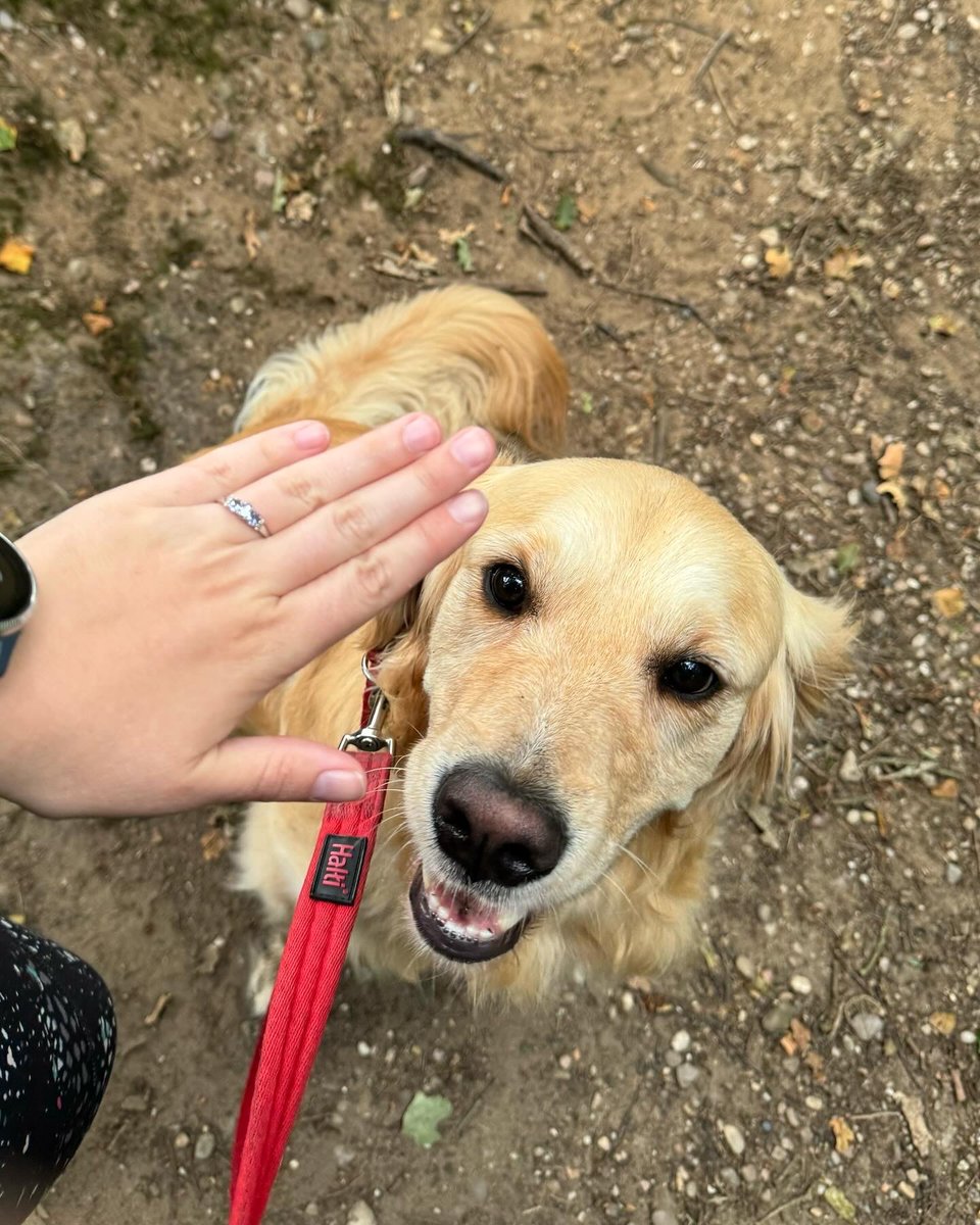 Liam liked this ring because it had a “pretty purple stone”;

I love it because the space group of said gemstone is Pnma! (The best/my favourite space group)🥹