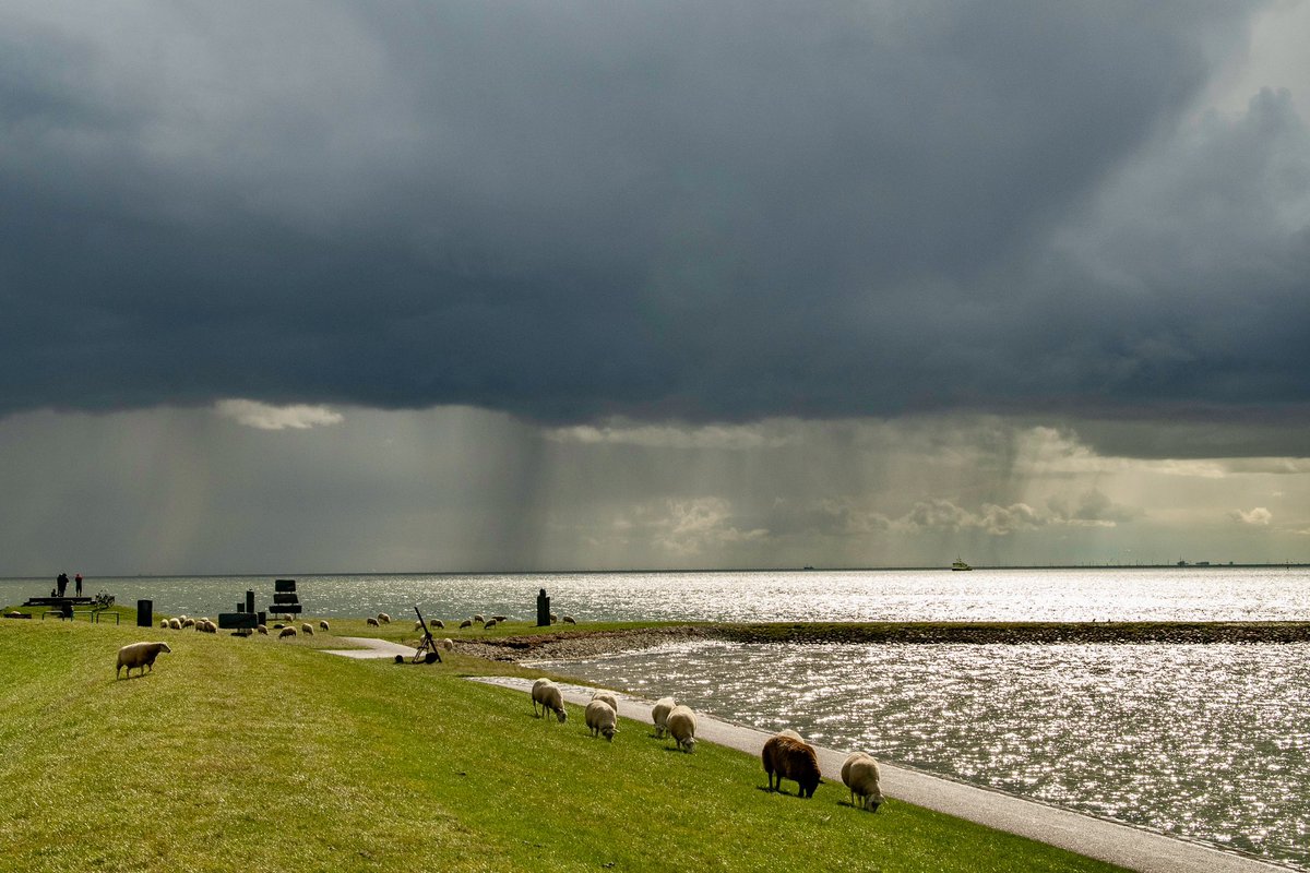 ArieJanVT's tweet photo. Wat een feest om vanmorgen te fotograferen bij de #waddenzee #buienluchten #elementen #weerfoto #natuurfotografie #nature #landschapsfotografie #regenboog #rainbow #clouds #terschelling UNESCO Waddenvereniging Terschelling Magazine VVV Terschelling National Geographic https://t.co/P3uTEDZNrB
