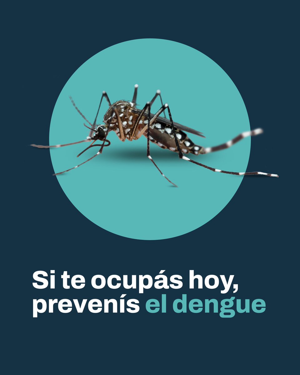 Empezó la campaña integral de prevención del dengue en la Ciudad. A partir del 18 de septiembre, comienza la vacunación: los turnos van a estar disponibles en la web del Ministerio de Salud y los vacunatorios van a funcionar en hospitales, Centros de Salud y puntos designados.