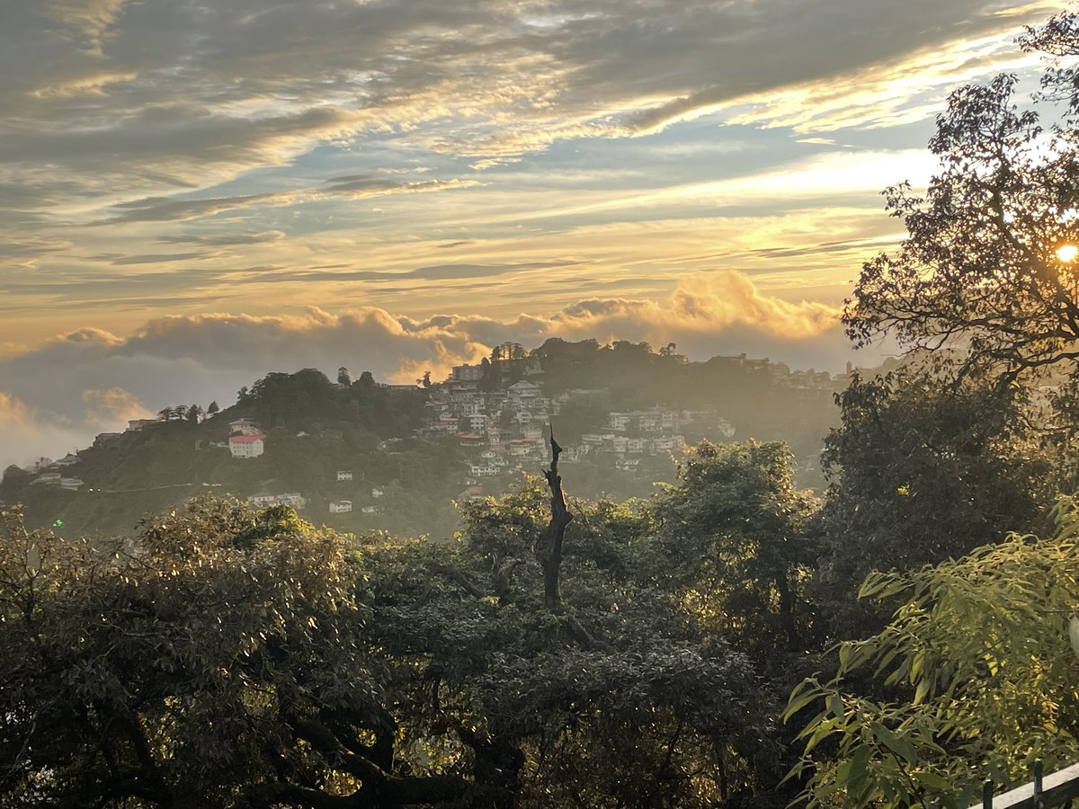 Aditya Manral tweet media