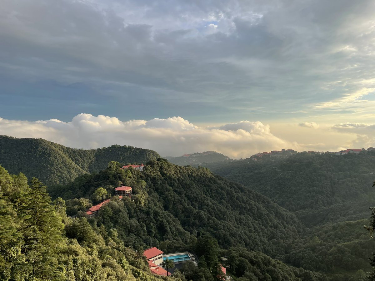 Aditya Manral tweet media