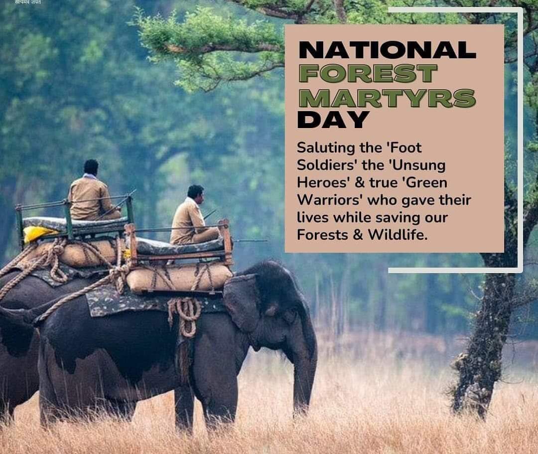 झारखंड के वन-क्षेत्र में बढ़ोतरी और वनों एवं वन्य जीवों को बचाए रखने के लिए #वनरक्षी  सीमित संसाधनों में वन-माफियाओं और तस्करों से लोहा लेते हैं।
आज #वन_शहीद_दिवस के अवसर पर दिवंगत हुए सभी वन वीरों को सादर श्रद्धांजलि🙏🏼
#ForestMartyrsDay
<a href="/HemantSorenJMM/">Hemant Soren</a>
<a href="/JharkhandVan/">Jharkhand Forest</a>
#jharkhand