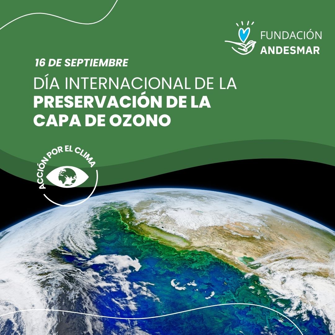 La capa de ozono es una franja de gas que protege la vida en el planeta. Dañarla genera consecuencias, como problemas en nuestra salud, además de perjudicar la vida de animales, plantas y microorganismos.

🤝 Nosotros podemos revertir esta problemática.