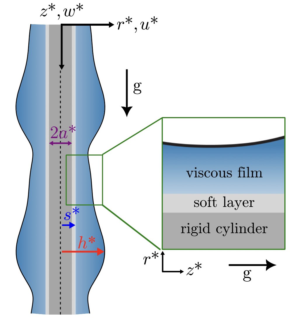 PhysRevFluids's tweet photo. Ever thought a soft-coated cylinder could shake things up? Turns out, adding some squishy layers to viscous films destabilize the films, trigger faster droplet coalescence, and boost water transport. Find out more about Chao et al's new research @ https://t.co/nUPwIrFzf8. https://t.co/DgUTizFrkS