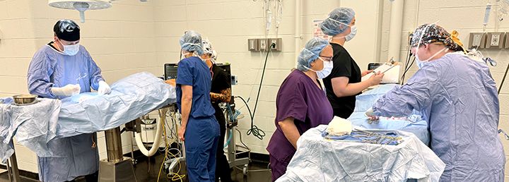 ISU Vet Med tweet media