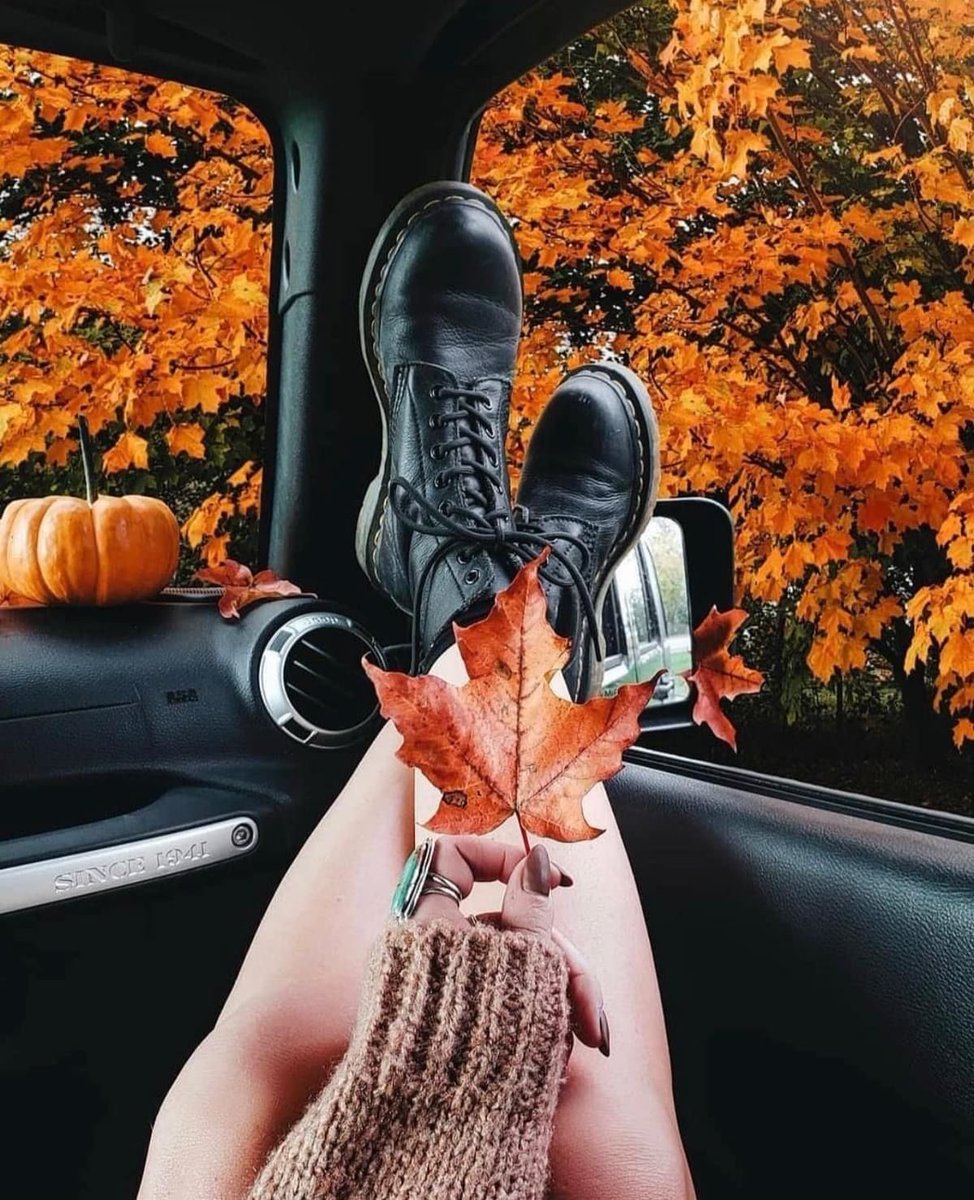 thespookygirll's tweet image. 50 days till halloween 🍁