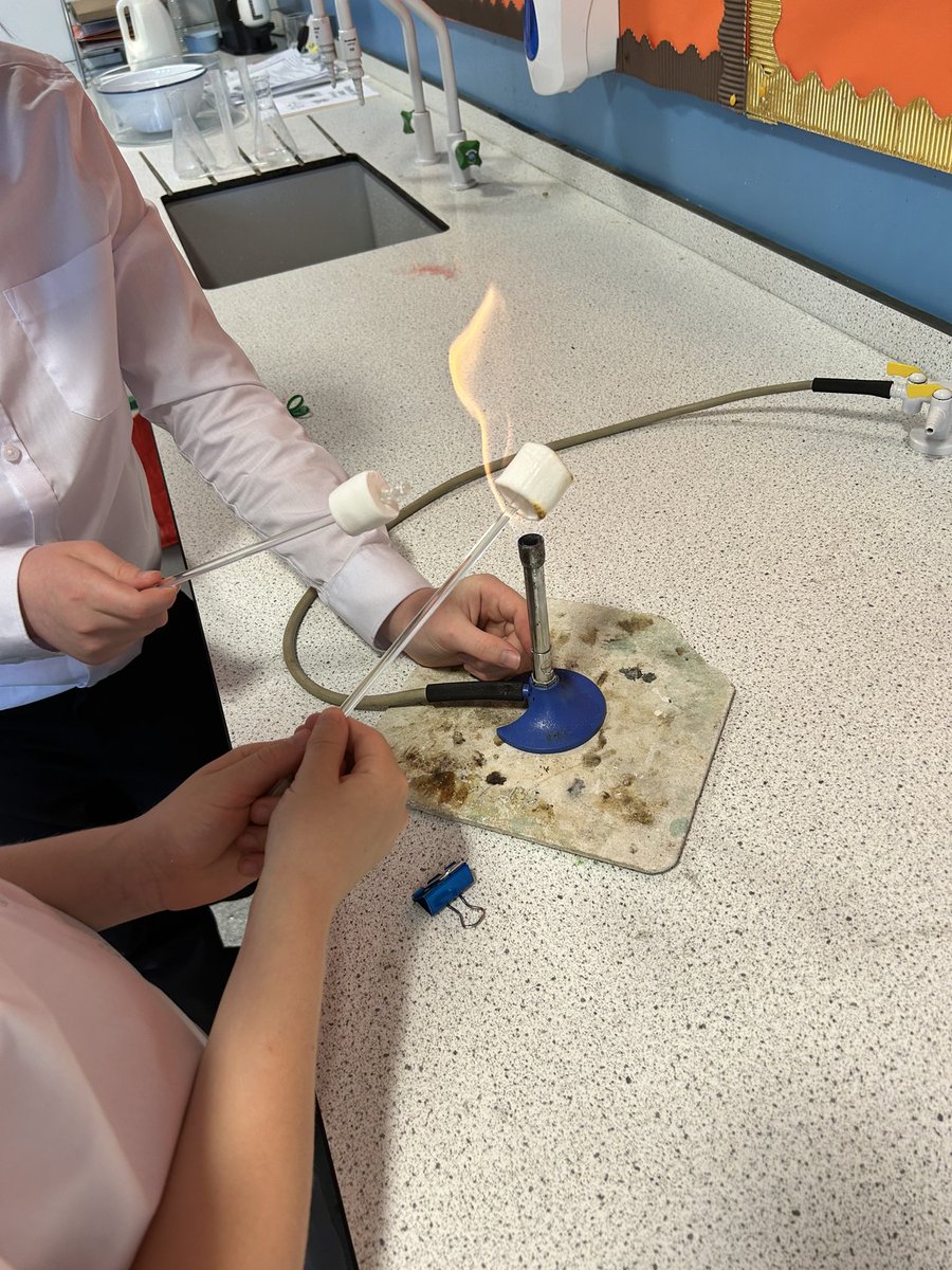 ChrystonScience tweet media