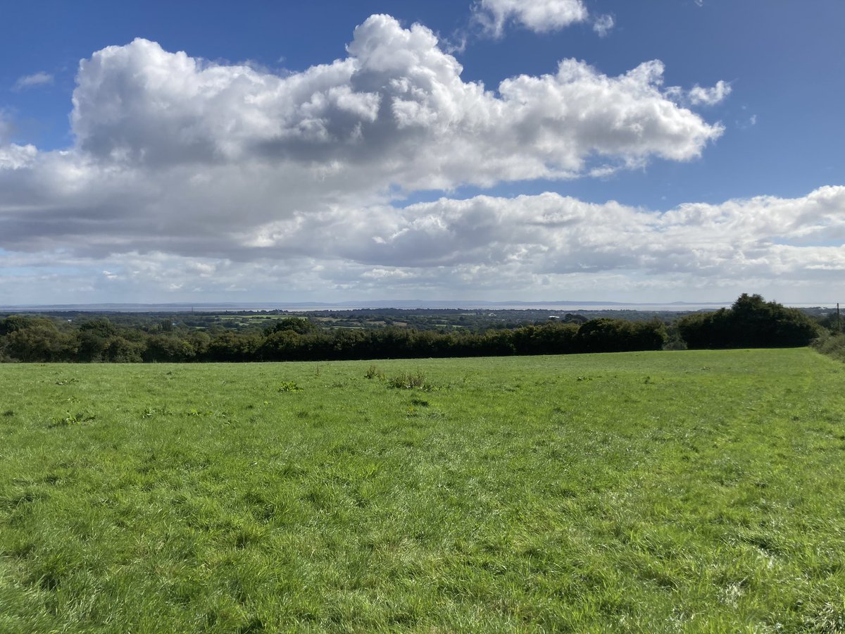 WFH perk being able to get out over lunch and get a bit of fresh air.  😌