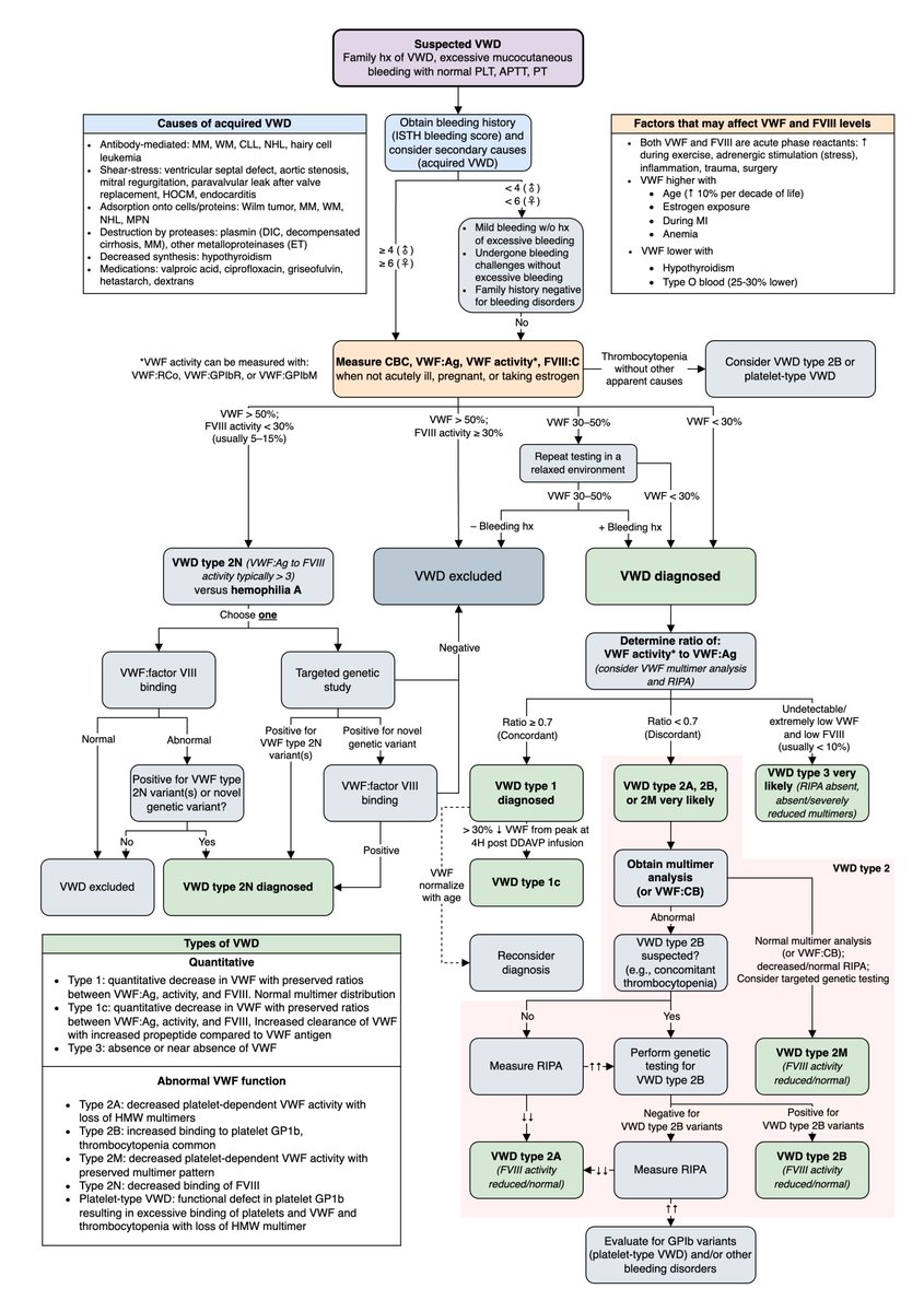 MatthewHoMD's tweet photo. Workup of von willebrand disease

ref: ASTH ISTH NHF WFH 2021 guidelines, uptodate https://t.co/uTj3m7rTDn