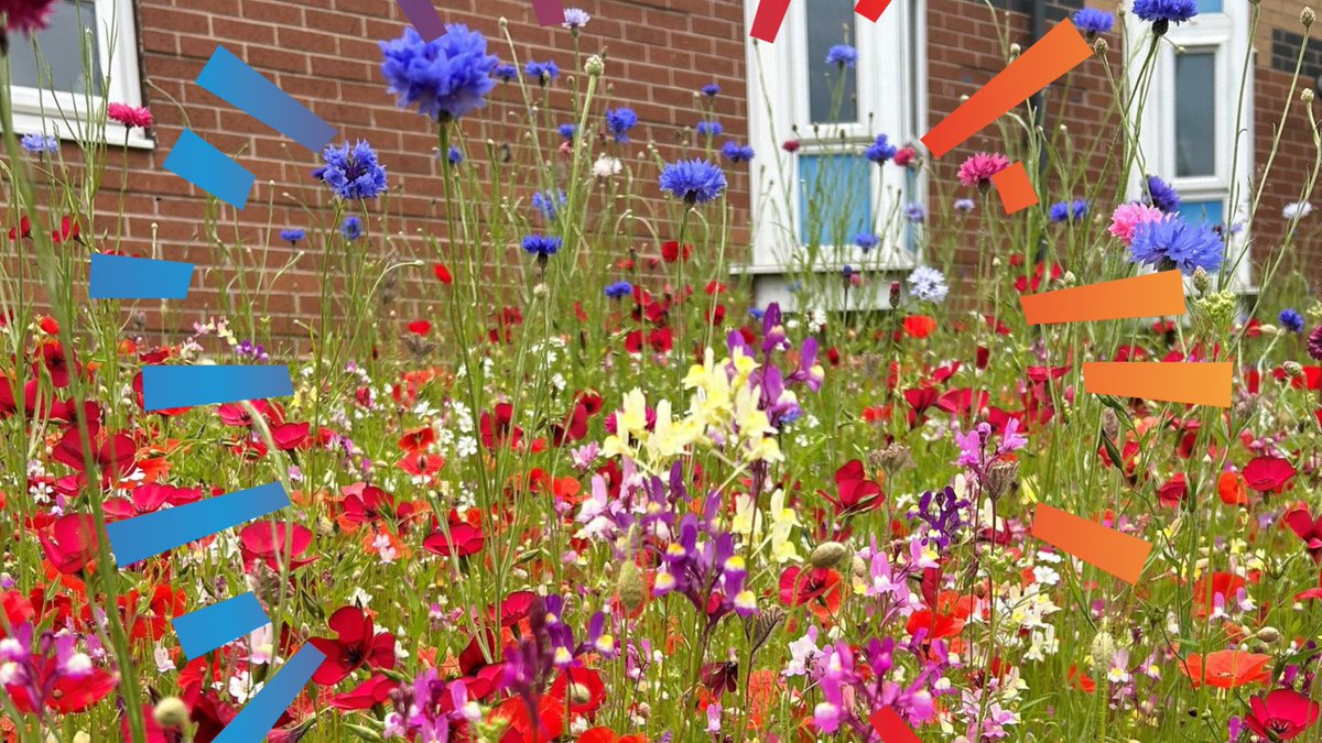 Leeds Federated tweet media