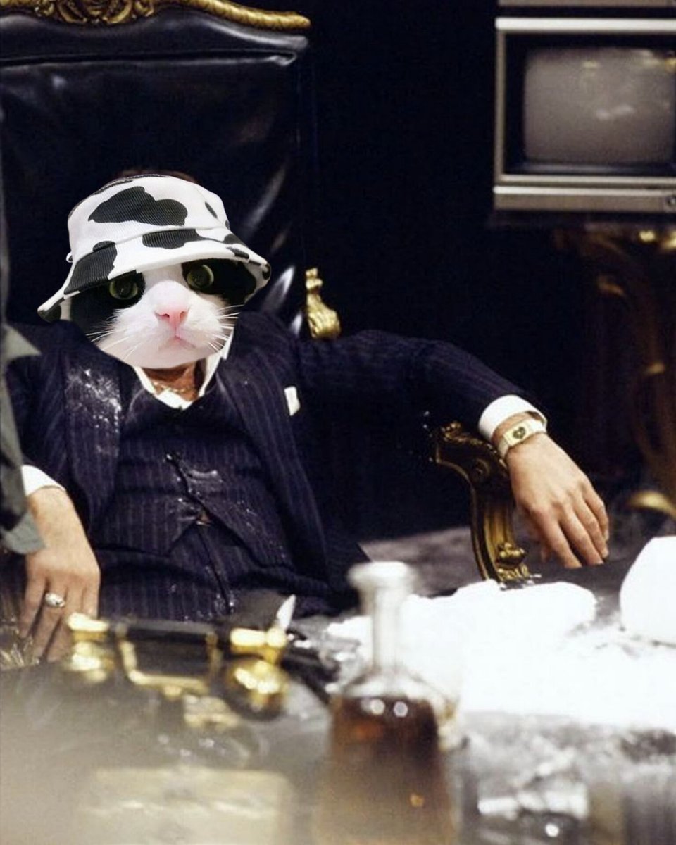 Metasthetic's tweet photo. @mrpunkdoteth I'll tell you again 🤝
Study $MooCat 🚀
Study @MooCatSolana 🔥
#MooArmy
We #MooVing https://t.co/6P6jM2ZtDQ