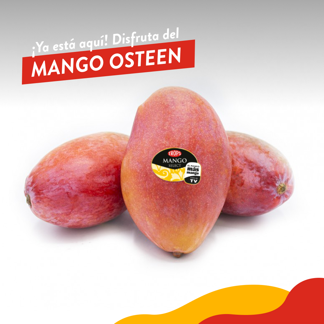 fTROPS's tweet photo. #SabiasQue ❓ El #mangoTrops que sale en nuestro spot de televisión es de la variedad 𝑶𝒔𝒕𝒆𝒆𝒏 🥭 Se trata de la principal variedad de #mango que se produce en España 🇪🇸
Es muy rica en sabor y aroma. Su pulpa es de color amarillo anaranjado, de jugosa textura y sin fibra. Destaca el color rojo púrpura de su piel y su sabor dulce con notas ligeramente ácidas.
¿Lo mejor de todo? Ya los tienes disponibles en tu frutería más cercana y en https://t.co/To6H51R1WD 🥭
#ElMangoMásMango