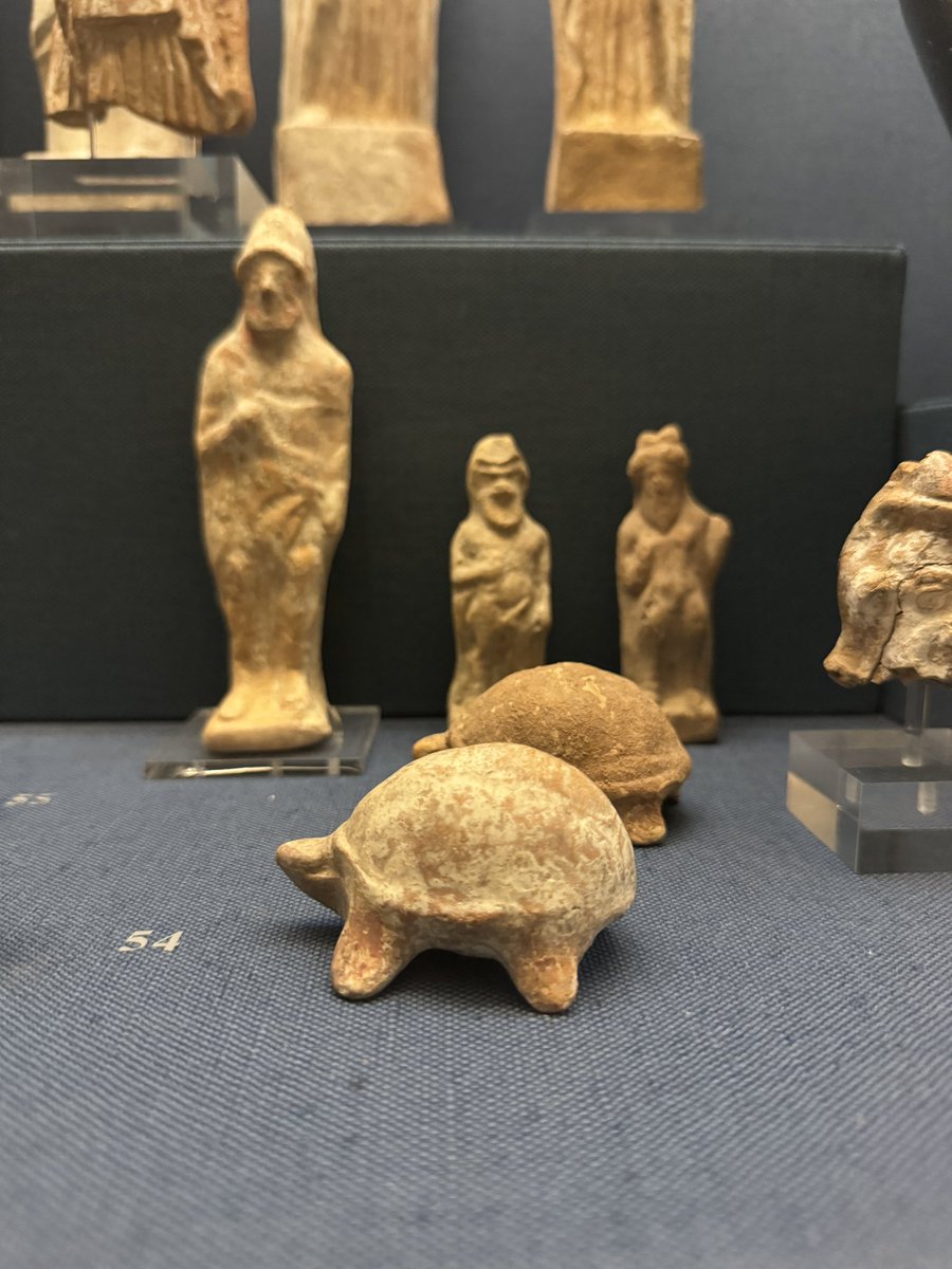On the slopes of the Acropolis, life imitates the ancient art found in the @thebenakimuseum 🐢❤️ 

📸 taken by me