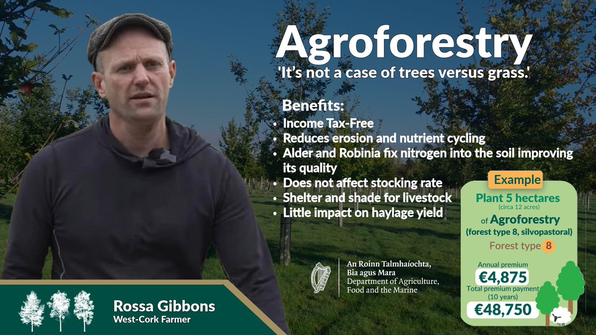 Ireland's forestry programme has a range of attractive grants and premiums that can pay more than €1,100 per hectare for up to 20 years. Speak to one of our forestry experts at #Ploughing2024. Find us at Block 3, Row 12, Stand 202. <a href="/teagascforestry/">Teagasc Forestry 🌳🌲🌳🌲</a>