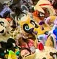 FluffySharkTM's tweet photo. bless the 360 cam https://t.co/VIZUAvtetn