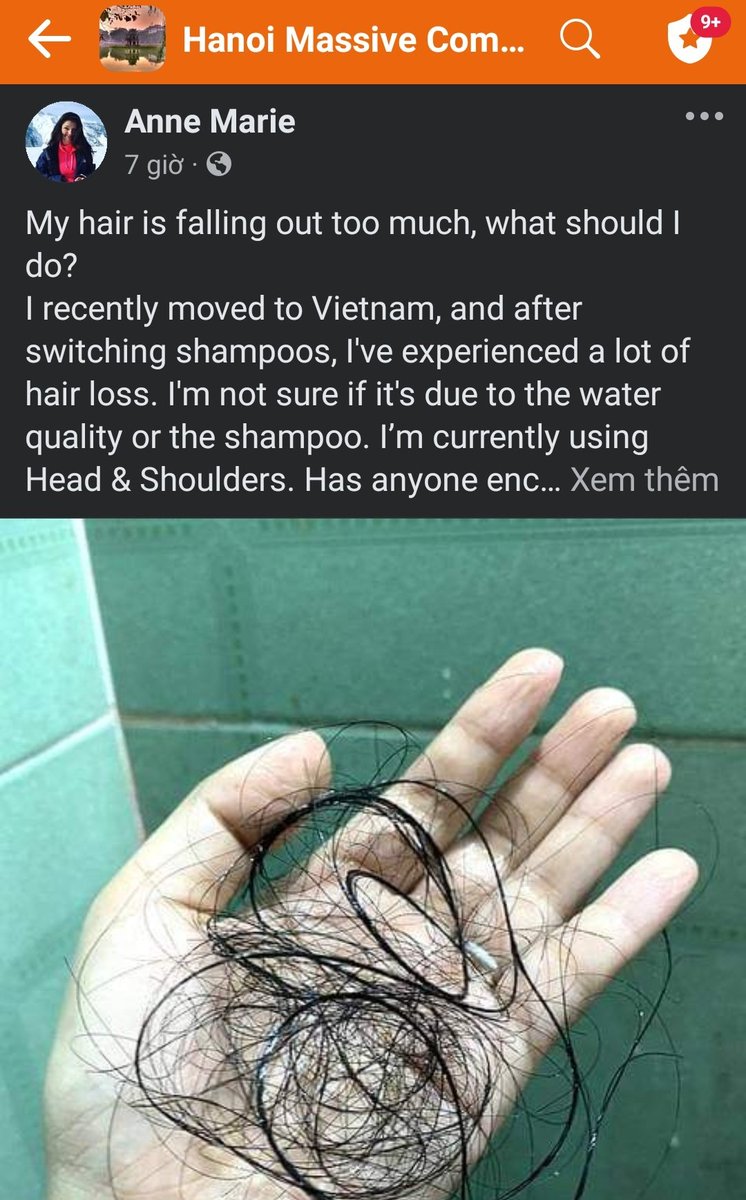 Hanoi Massive Community tweet media