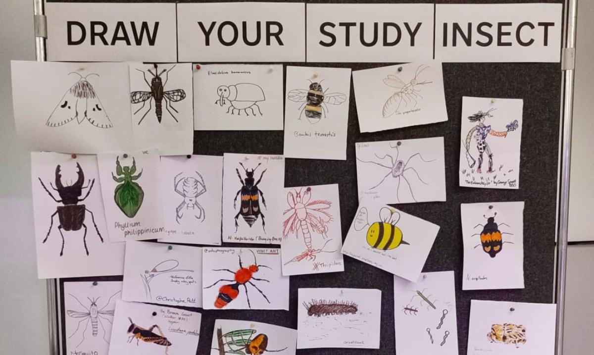 RoyEntSoc's tweet photo. We're getting lots of drawings on our study board at #Ento24!
Visit the #Ento24 activity area to #DrawAnInsect & pin to the display board for all to see 🦋
If you're not with us in-person, join in online - Tag us and share your study insect!
#Inktober #Invertober @LivUni https://t.co/4WqjKvOSwi