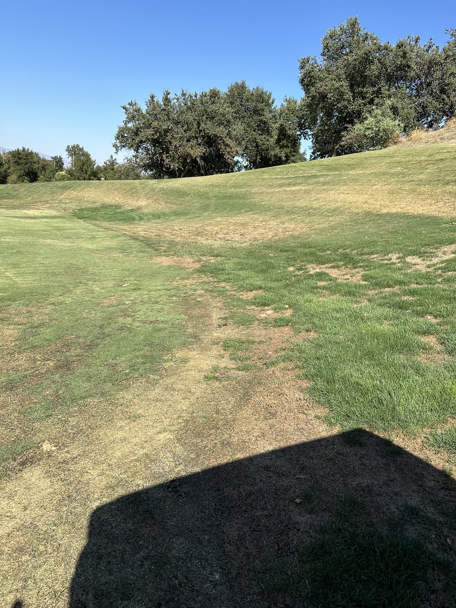 SlowTheGame's tweet image. Sheesh @arcisgolf 50 dollar green fee course on the left 1k a month oaks club on the right something looks a little off no?

#slowthegame