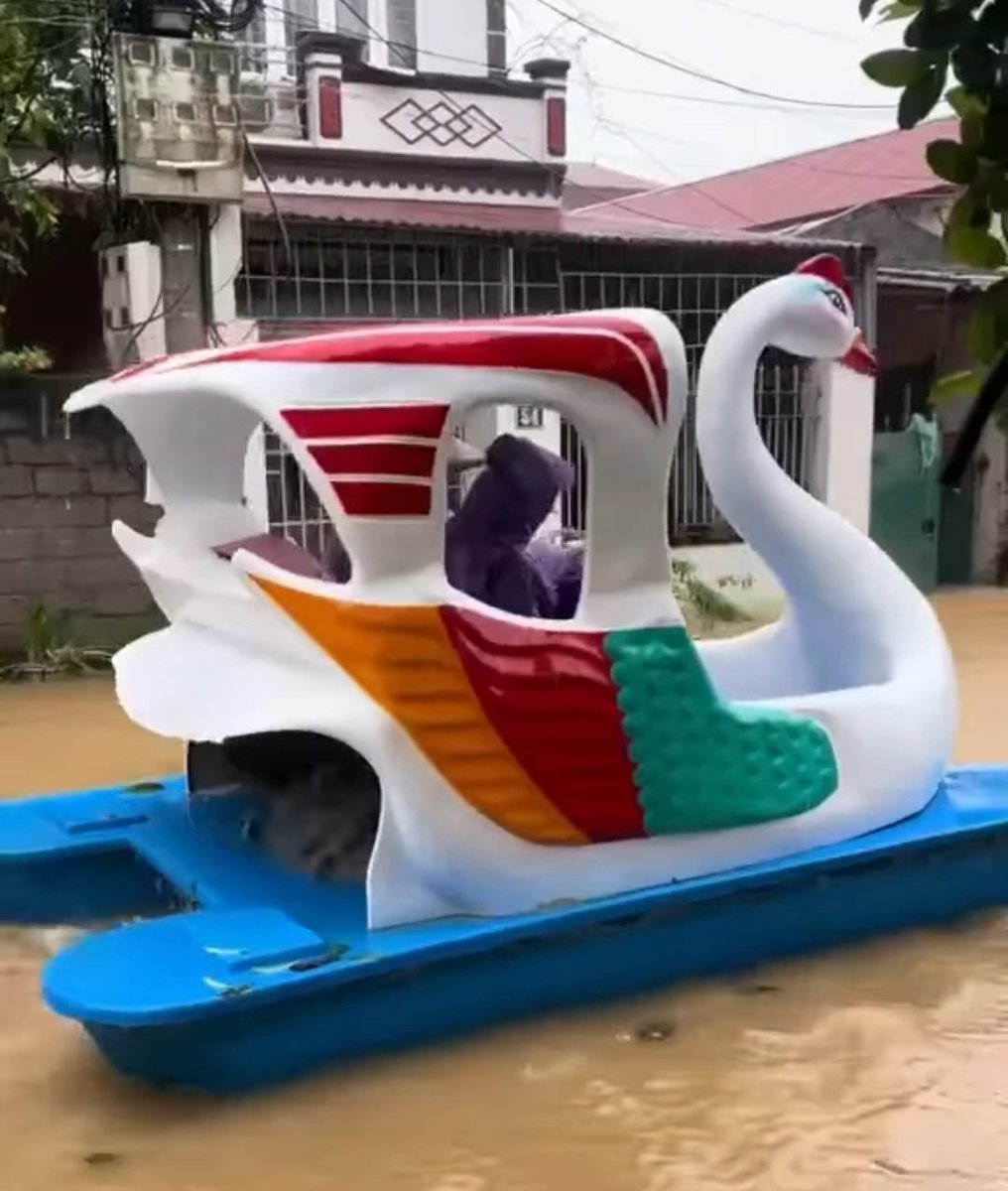 chrisabnew's tweet photo. Vietnamese rode duck paddle boat during the flood
Optimistic 🤣 https://t.co/9YyevzWHc5