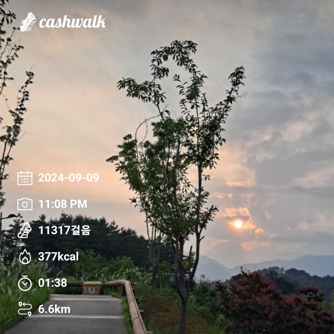 seethrough1b's tweet image. #bugcity
#bugpoly
#gm
@Bug4city
2024년  8,000보