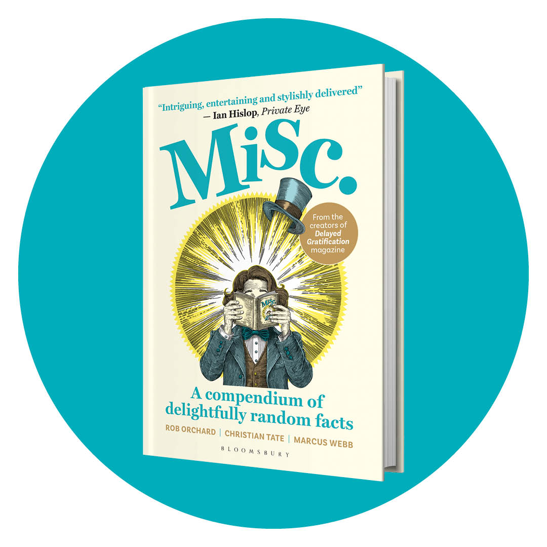 Delayed Gratification tweet media