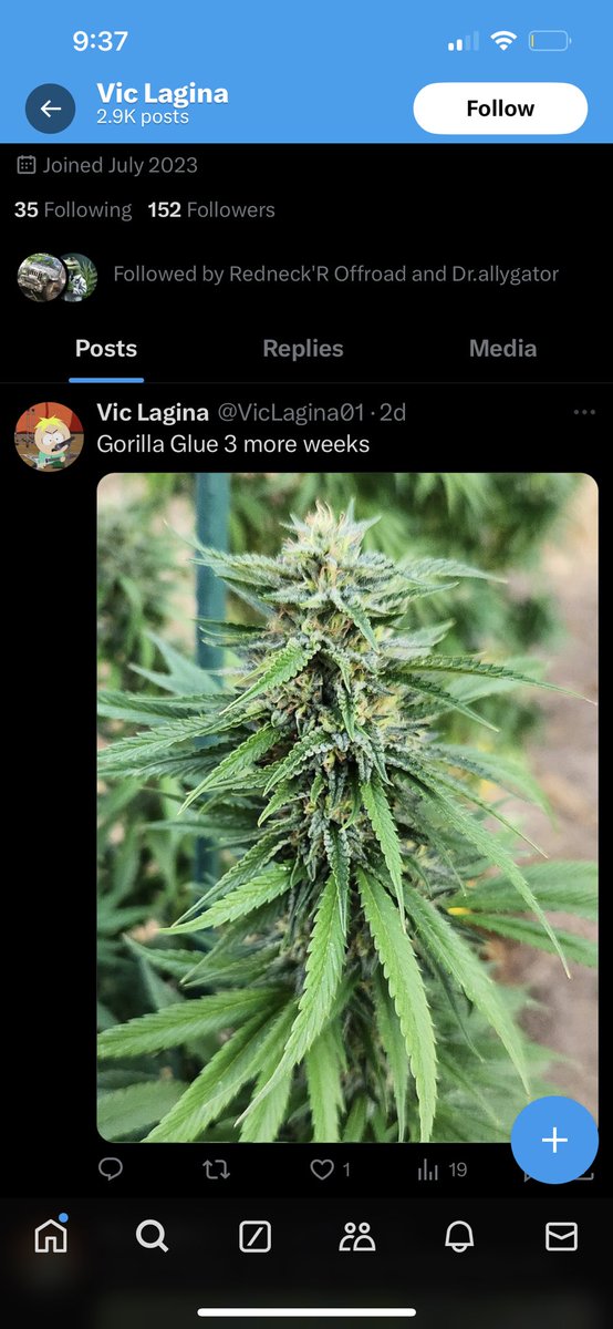 PushnAutopots tweet media