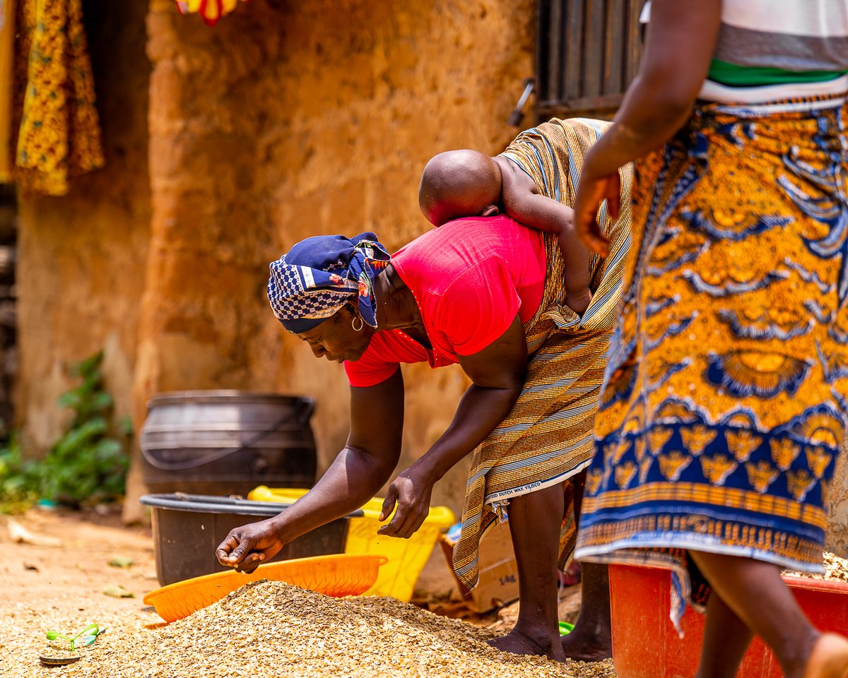 RMIAfrica's tweet photo. Dive into RMI's new report, #HarvestingSunshine, to learn how pairing minigrids with productive uses of energy such as milling and cold storage can drive +ve rural transformations, enhance efficiency, and reduce costs.

Read here: https://t.co/Oyh0H0pkSG 
#PoweringAgriculture https://t.co/04xpn5TYEH