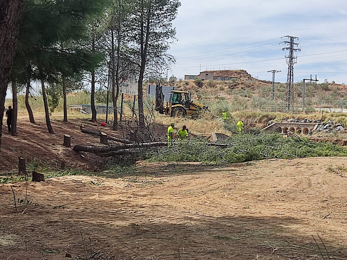 alvaroblag's tweet photo. En #Azucaica están talando varios de los pocos árboles que tenemos en el #barrio para arreglar el cauce del río. Calles enteras sin un solo árbol y el Ayto. de #Toledo aprueba obras que implican talas... ¿ @cvelazquezromo
@ToledoAyto, para cuando árboles en el barrio?
@AzucaicaV https://t.co/9d7IIgmitr