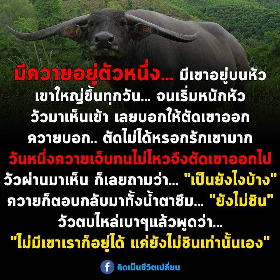 เดี๋ยวก้อชิน...