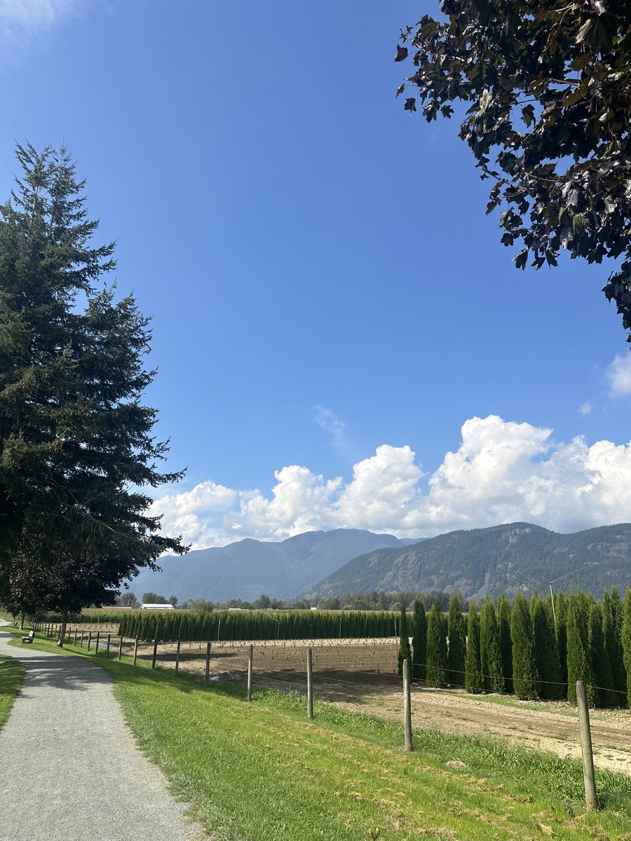 bc_blind's tweet image. Walking Club in Chilliwack has been running all summer! Attached are some photos of the places we walk. If you're interested in joining a BCBS walking club in your area, email BC Blind Sports for more info.