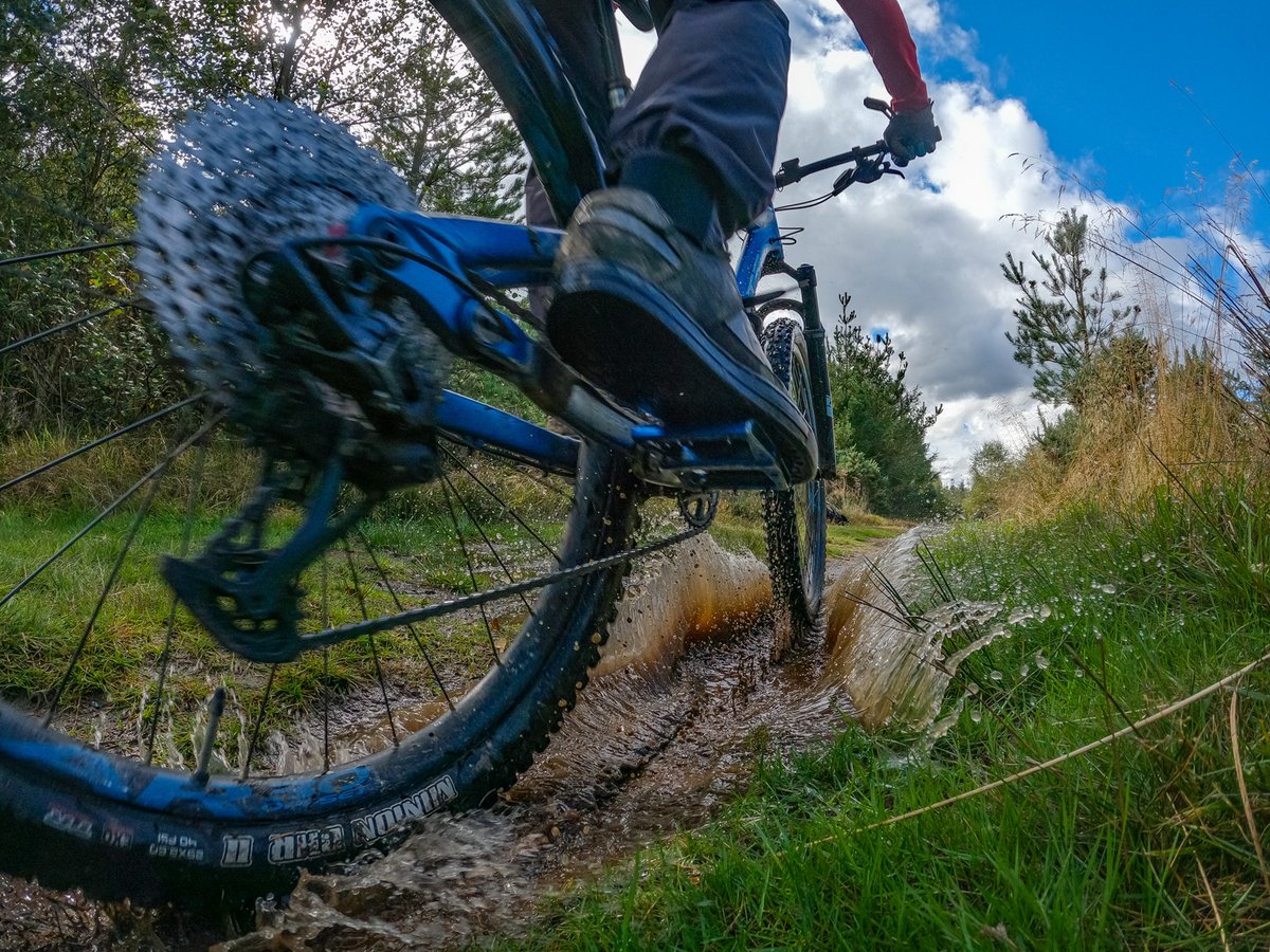 JLPhoto&Video tweet media