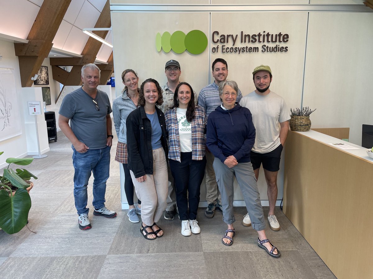 Anna Schmidt tweet media