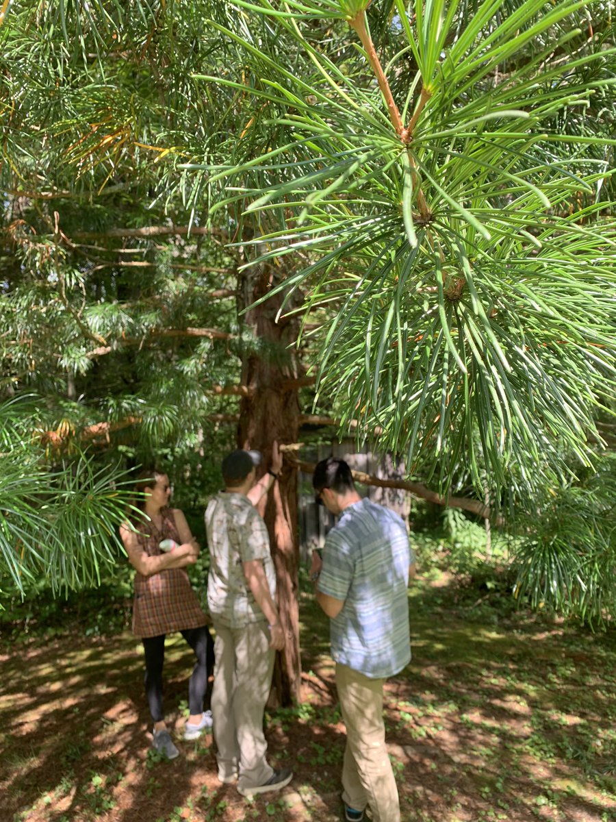 Anna Schmidt tweet media