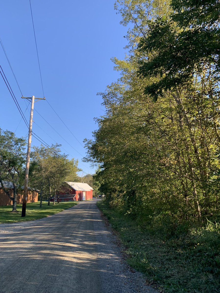 Anna Schmidt tweet media