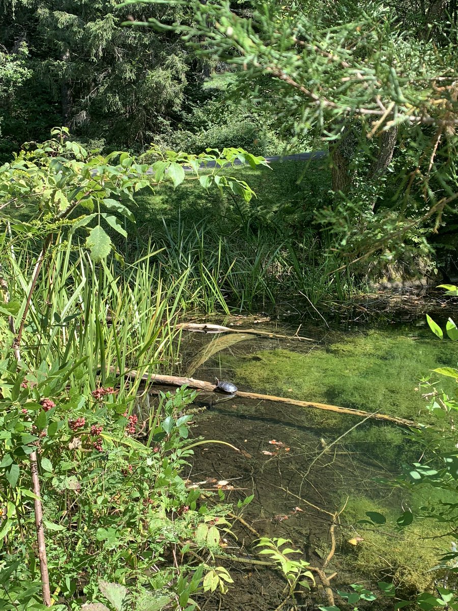 Anna Schmidt tweet media