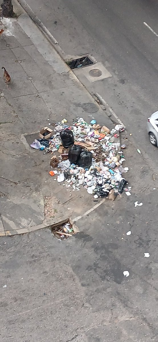 Fercast41 tweet media