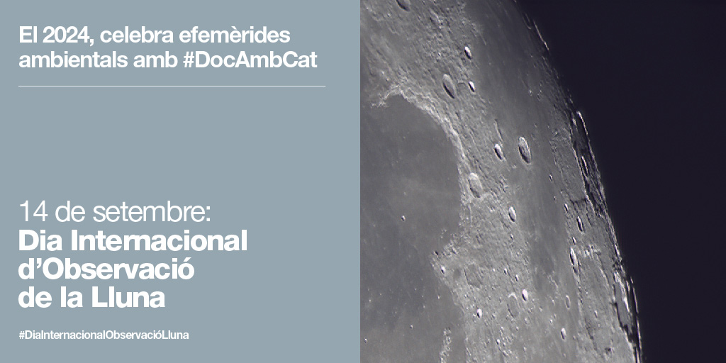 Museu de Ciències Naturals de Granollers (@mcngranollers) on Twitter photo El Centre de Documentació del <a href="/montseny/">Parc Natural i Reserva de la Biosfera del Montseny</a> amb #DocAmbCat i <a href="/xarxadeparcs/">Xarxa de Parcs Naturals</a> celebra el #DiaInternacionalObservacióLluna al <a href="/mcngranollers/">Museu de Ciències Naturals de Granollers</a> Divendres 13 de setembre.
📆 2 sessions Planetari- ℹ️ goo.su/U44qz
📆 Observació de la lluna amb telescopi -ℹ️ goo.su/jMWSDN El Centre de Documentació del <a href="/montseny/">Parc Natural i Reserva de la Biosfera del Montseny</a> amb #DocAmbCat i <a href="/xarxadeparcs/">Xarxa de Parcs Naturals</a> celebra el #DiaInternacionalObservacióLluna al <a href="/mcngranollers/">Museu de Ciències Naturals de Granollers</a> Divendres 13 de setembre.
📆 2 sessions Planetari- ℹ️ goo.su/U44qz
📆 Observació de la lluna amb telescopi -ℹ️ goo.su/jMWSDN