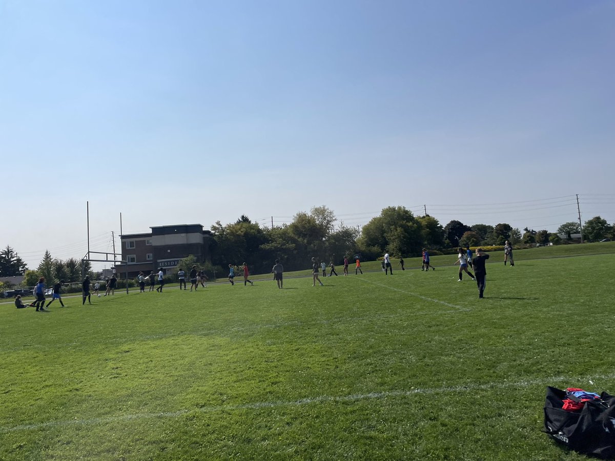 Nicholas Shea tweet media