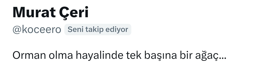 Koca bir çınar olasın <a href="/koceero/">Murat Çeri</a>