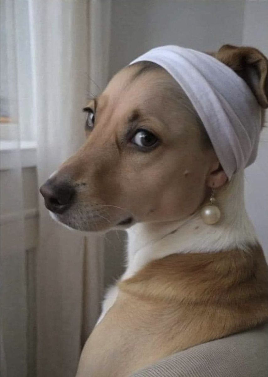 Immigrants will never notice Tanya with her clever disguise.