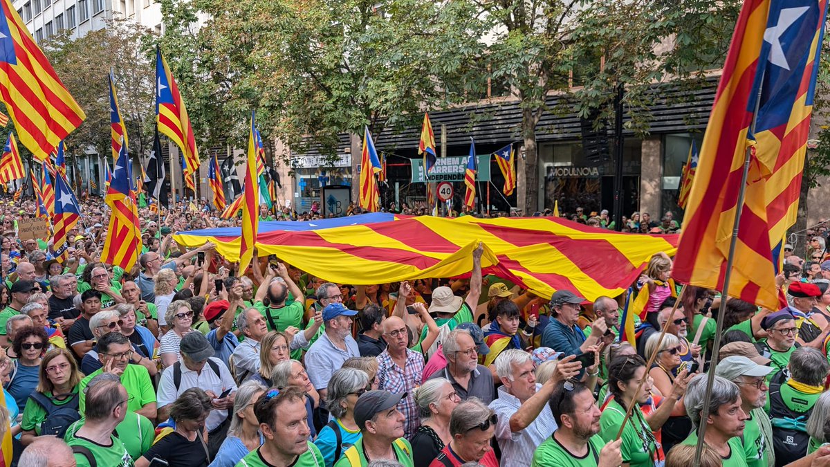 Hi som aquí. Ara i sempre, fins a la independència! #Diada #11STornemAlsCarrers