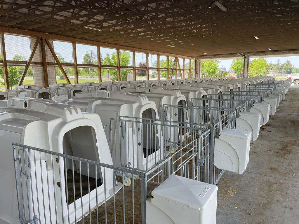outdoor calf housing